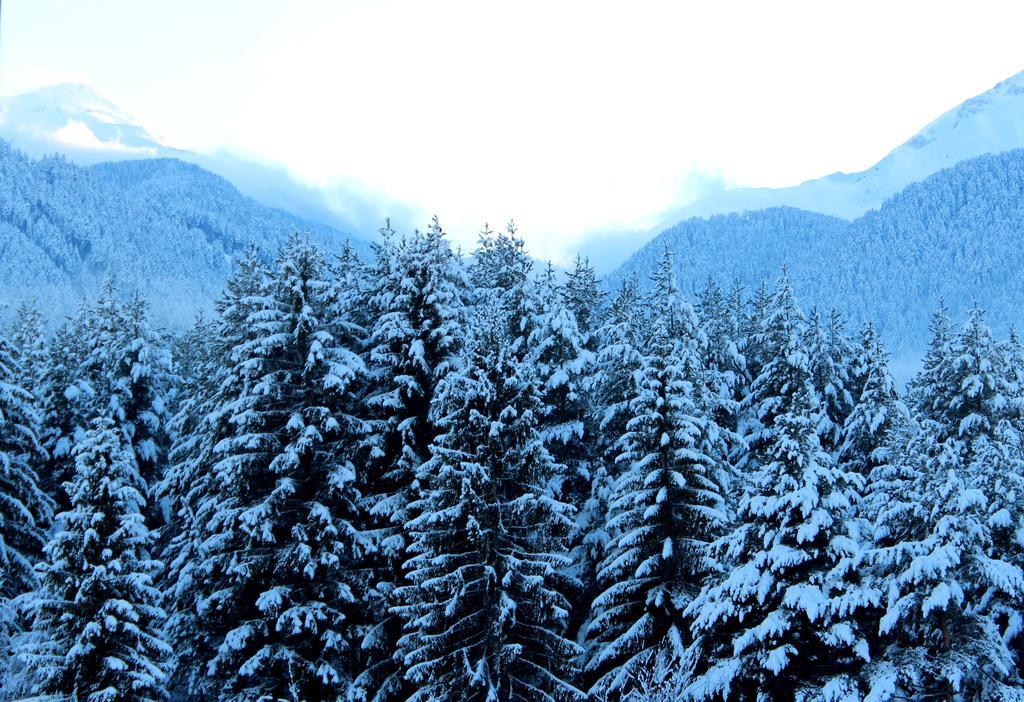 Saint George Palace Aparthotel Bansko Exterior foto